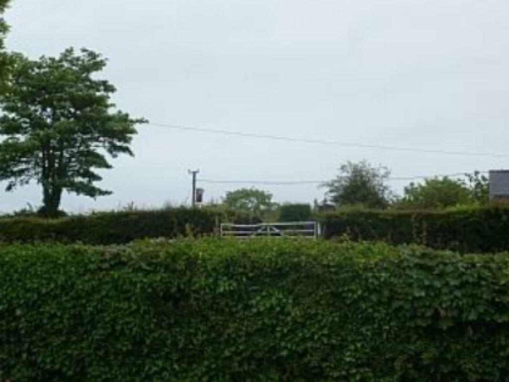 The Old Shop Villa Llandyfrydog Buitenkant foto